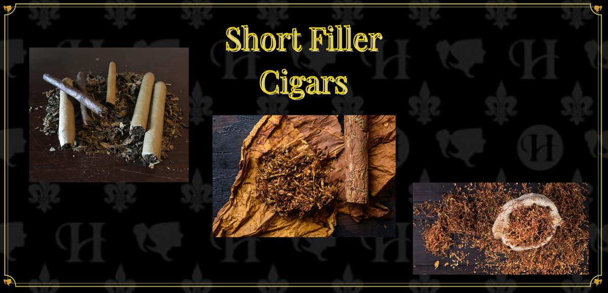 can you smoke tobacco leaves Tobacco, Risks of Use, and Cancer can you smoke tobacco leaves Tobacco, Risks of Use, and Cancer