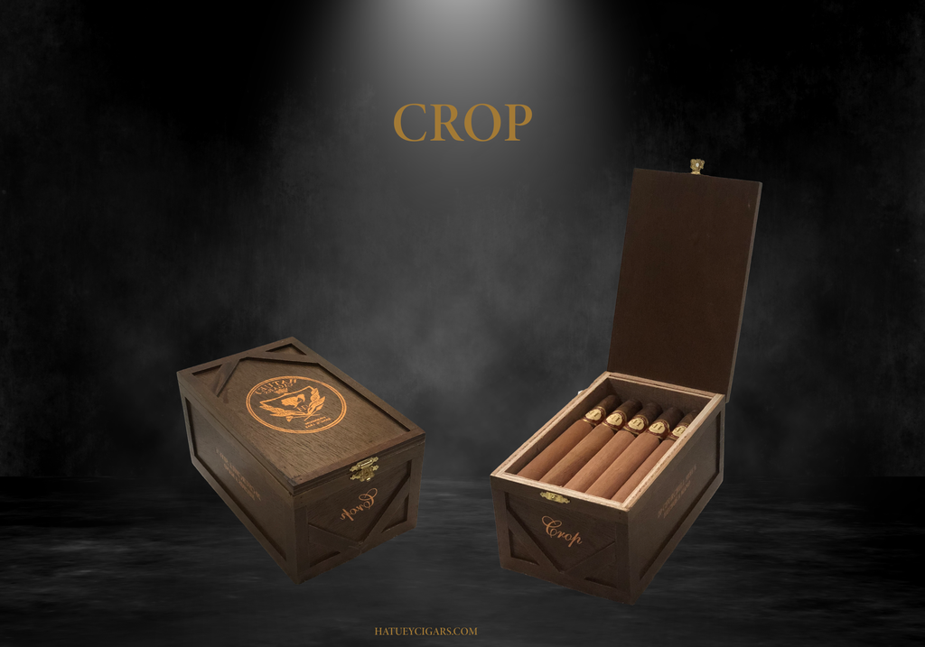 ROBUSTO 52 x 5 1/2