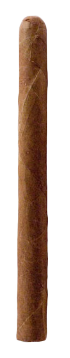 PANETELA - 38 X 5